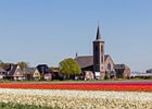 2018-05-04 13-02-56 0018 Bloembollenvelden Hillegom