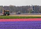 2019-04-05 13-34-32 0054 Bollenstreek