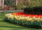 2019-04-07 11-43-39 0033 Keukenhof