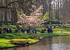 2019-04-07 11-57-58 0052 Keukenhof
