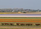 2019-04-07 12-27-16 0067 Keukenhof