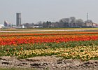 2019-04-07 12-33-06 0068 Keukenhof