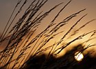 2010-07-17 21-28-06 0080 Zonsondergang door het gras