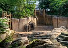 2018-09-29 13-06-56 0033 Dierentuin Wildlands Emmen