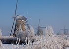 2012-02-04 10-30-53 0038 Kinderdijk, Winter 2012