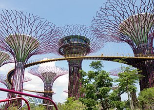 Gardens by the Bay