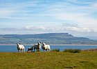 2015-06-09 18-25-28 0173 Stroove Lighthouse, Dunnagree, Inishowen Head