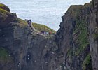 2015-06-07 11-39-43 0008 Carrick-A-Rede Rope Bridge, Ballintoy