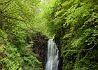 2015-06-04 17-42-03 0137 Carnlough, Cranny Fall