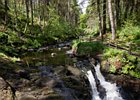 2015-06-05 12-35-39 0024 Glenariff Waterfalls & Forest Park