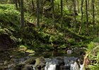 2015-06-05 12-37-14 0025 Glenariff Waterfalls & Forest Park