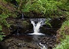 2015-06-05 12-45-16 0032 Glenariff Waterfalls & Forest Park