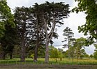 2015-06-04 15-35-21 0070 Glenarm Castle & Garden