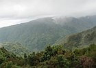 2016-06-17 12-23-56 001 Rabacal, Madeira