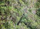 2016-06-17 14-29-29 011 25 Fontes, Rabacal, Madeira