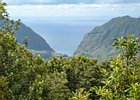 2016-06-17 18-12-25 065 Rabacal, Madeira